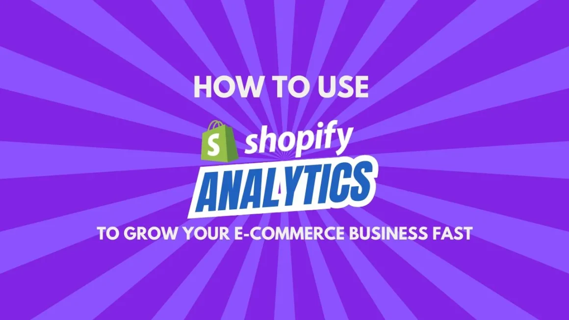 how-to-use-shopify-analytics